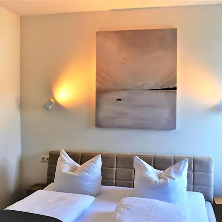 Ξενοδοχείο Black Forest Kappel-Grafenhausen