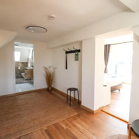 Hotel Black Forest Kappel-Grafenhausen