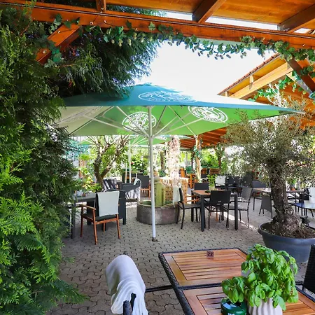 Hotel Black Forest 3*